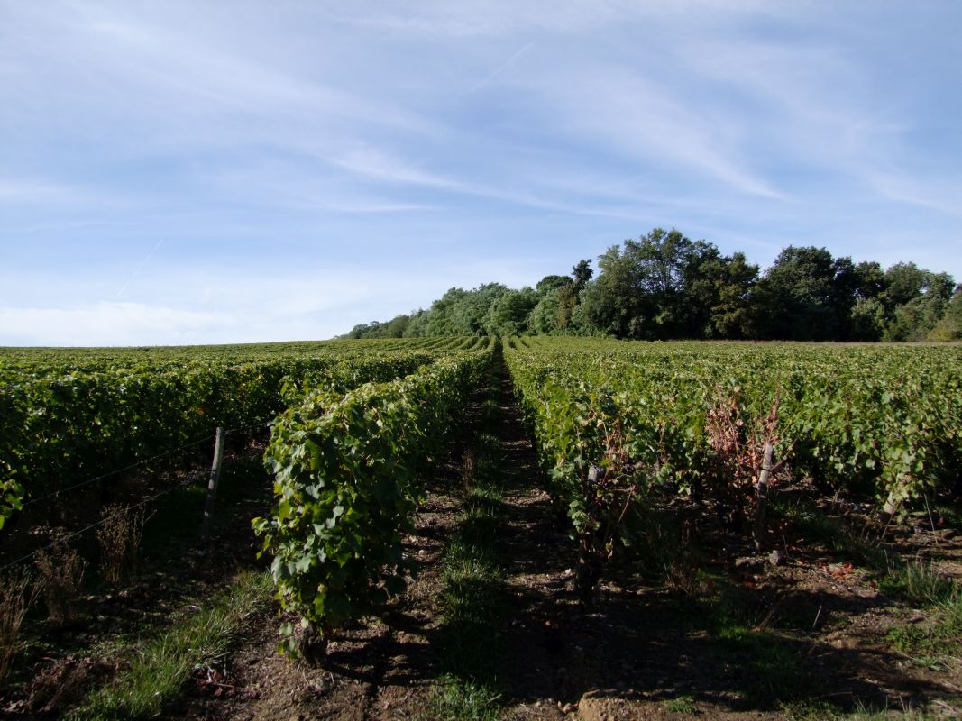 vouvray Chançay, vouvray Vouvray, vouvray Touraine