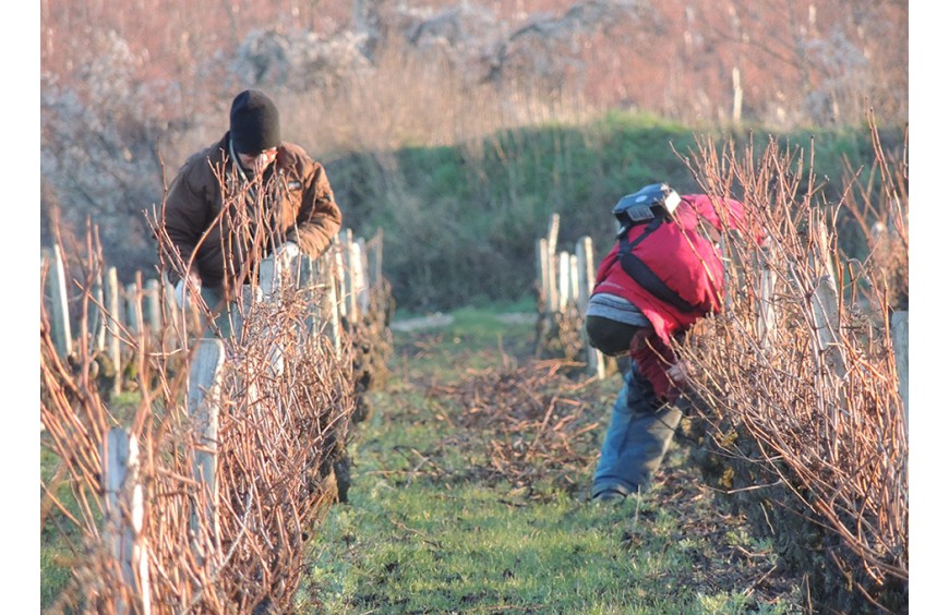 Actualités du Domaine de la Robinière