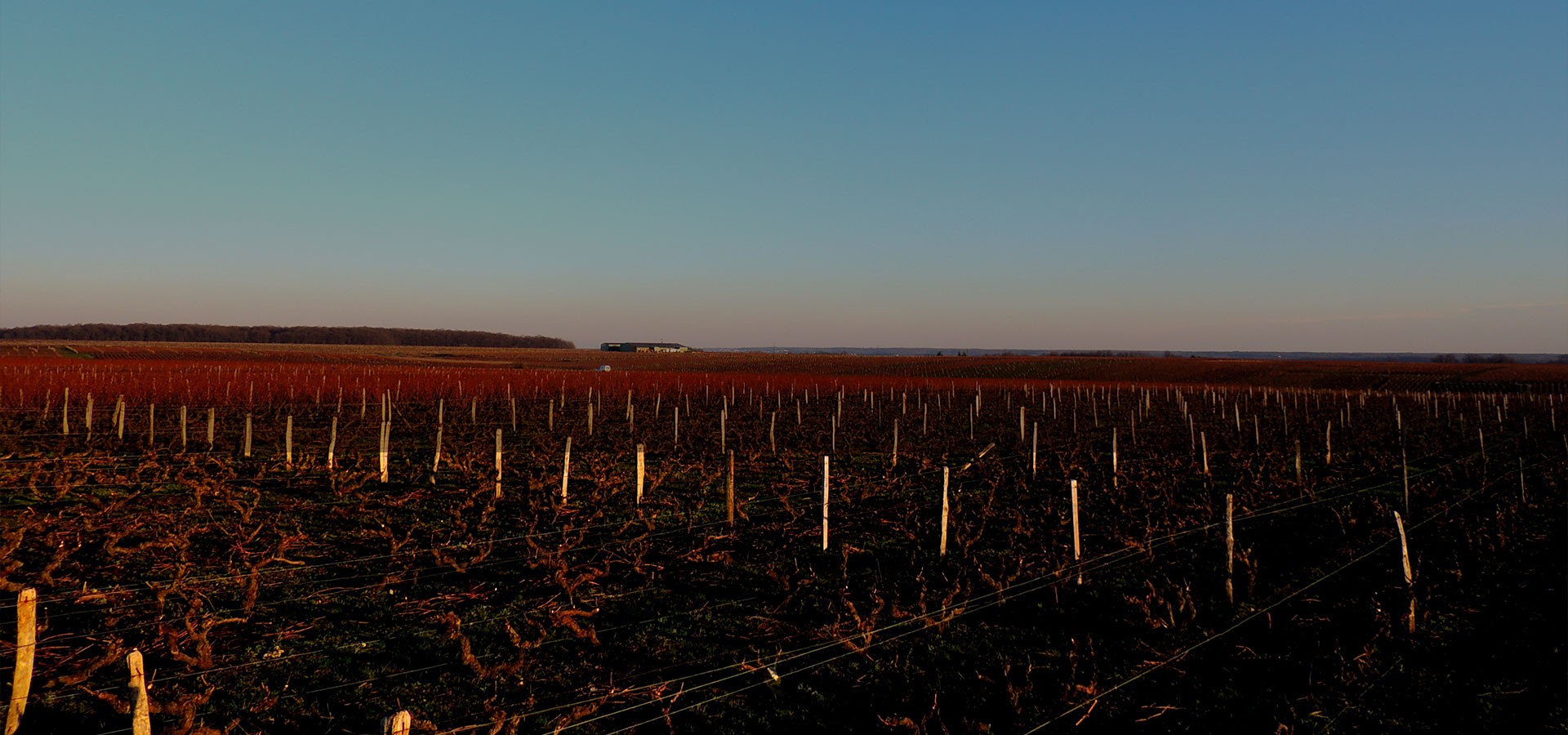 Domaine de la Robinière Vins de Vouvray